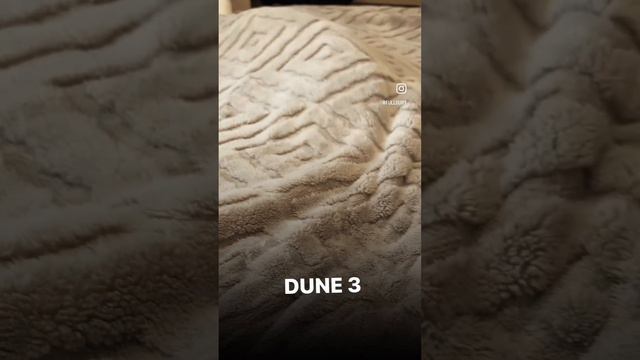 Котодюна смотреть онлайн