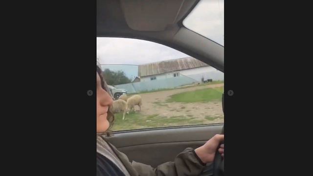 Херейд за Рулём Машины! Херейд Ездит на Машине! смотреть онлайн