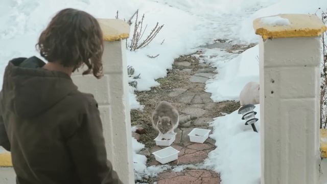 Roller Derby Champion Bonnie Thunders - Think Adoption First (Petco) смотреть онлайн