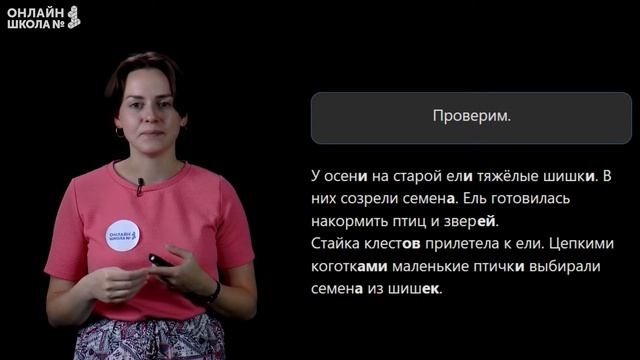 Правописание падежных окончаний множественного числа. Видеоурок 16.Русский язык 4 класс смотреть онлайн