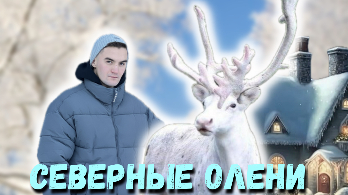 СЕВЕРНЫЕ ОЛЕНЕИ |ФОТОСЕССИЯ |ЛЕНОБАСТЬ смотреть онлайн