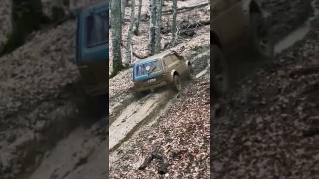 Нива психанула #offroad #4x4 #нива #бездорожье смотреть онлайн