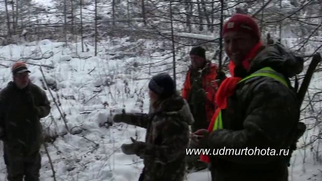 Охота на лося загоном в Удмуртии Drückjagd auf Elchwild смотреть онлайн