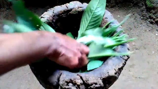 Insecticide in sinhala | කාබනික කෘමිනාශක දියර смотреть онлайн