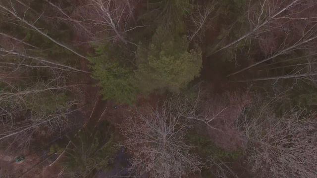 Кошкино Парк (Koshkino Park) с квадрокоптеров Main System смотреть онлайн