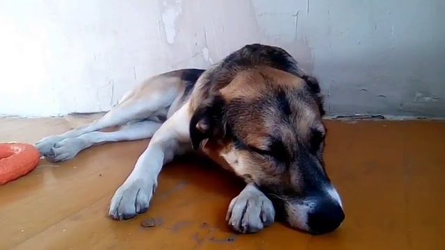 Ответы на вопросы смотреть онлайн