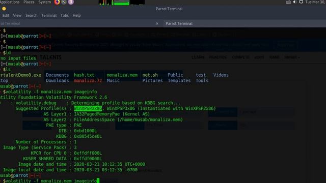 Writeup for Monaliza | Cybertalents| Digital Forensics | extract image from memory image #3mSecurit смотреть онлайн