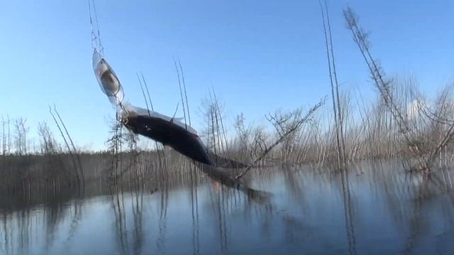 Рыбалка Ловим щуку на Богучанском водохранилище смотреть онлайн