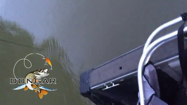 Ловля сома смотреть онлайн