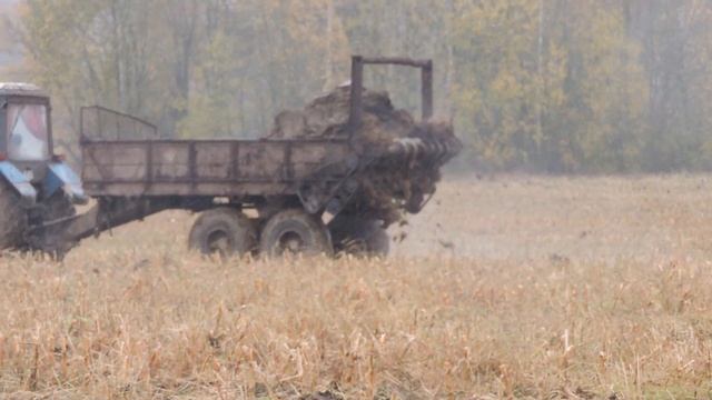 ПРТ 7 внесение навоза смотреть онлайн