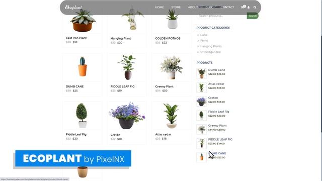 TOP 10 WooCommerce Themes | TemplateMonster смотреть онлайн