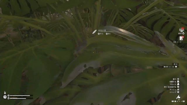 【GREEN HELL】PS4　初心者　攻略　1日目を必ず生き残る方法＃1　グリーンヘル смотреть онлайн