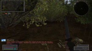 Книга Шахтёра в "Забытом лесу".