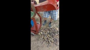 Измельчитель веток. [своими руками]