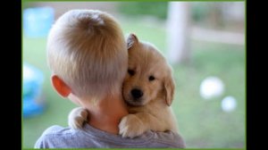 ГУБКИ БАНТИКОМ, БРОВКИ ДОМИКОМ