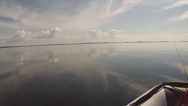 Лодка Polar Bird PB320M маневрирование смотреть онлайн