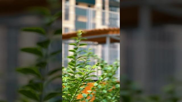 Обзор ЖК Любимово в Краснодаре от застройщика Инсити районы Краснодара цены на квартиры недвижимост