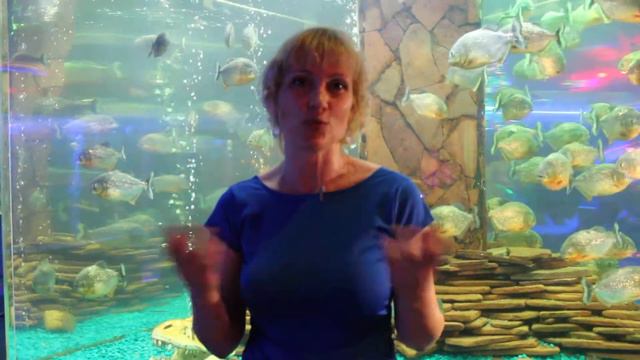 Пираньи, стервы и тролли - формы разные, сущность одна. смотреть онлайн