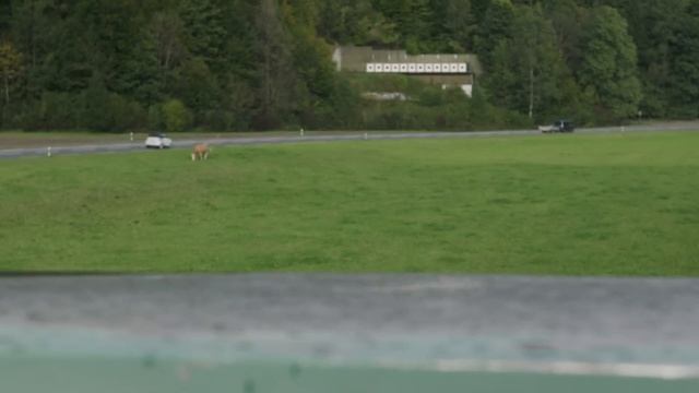 The shooting range where you fire over a busy road смотреть онлайн