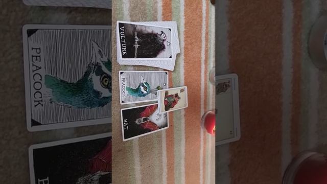 Rising routine - Tarot reading смотреть онлайн