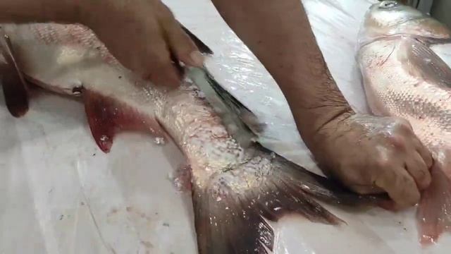 Чистим рыбу рыбочисткой из нержавеющей стали смотреть онлайн