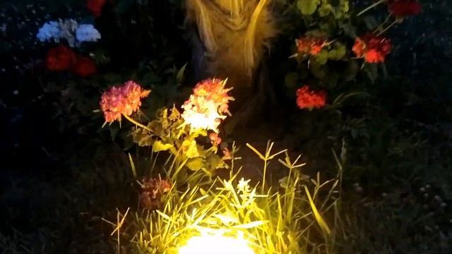 #Sumqayit Nesimi parki. Парк Несими в Сумгаите. Место для влюблённых?#Baku#Azerbaycan смотреть онлайн