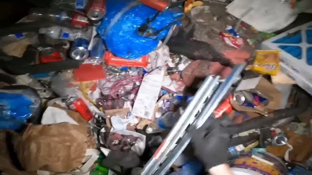 I Like A Good Variety Dumpster Dive - Trash To Cash смотреть онлайн