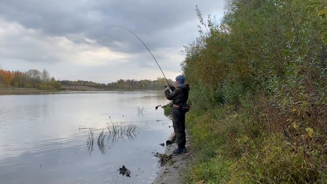 Судак и Окунь на микроджиг в Уфе. Рыбалка в Уфе. Ecoizm MJ/Shimano Vanquish 23 2500s. BrownPerch