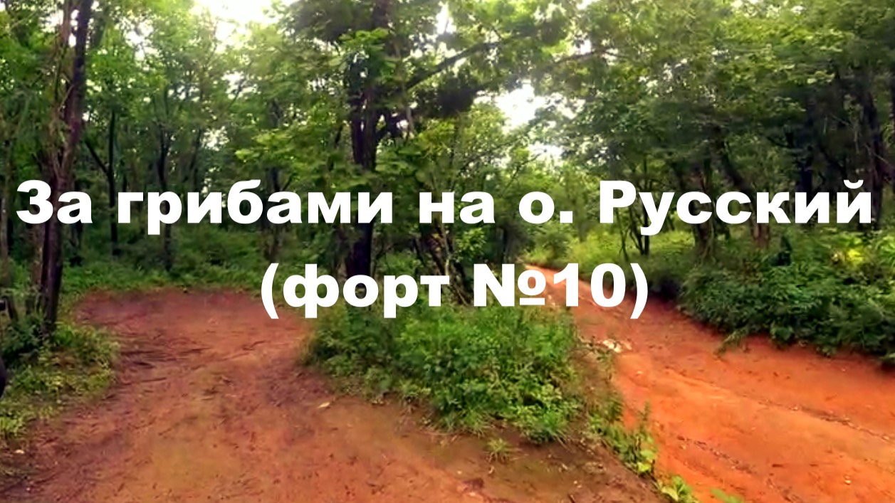 За грибами на о. Русский (форт №10)