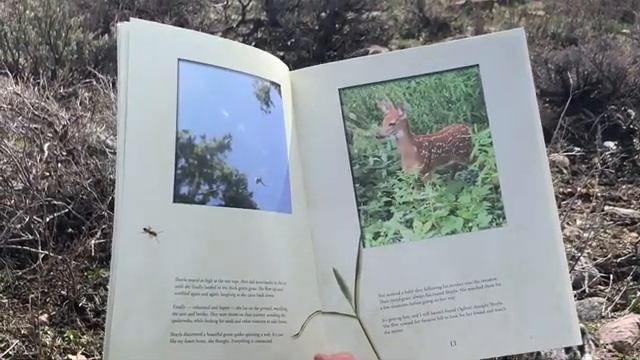 Forest Fairy Story + A Fun Game смотреть онлайн