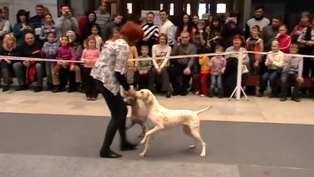 Харахурсах Лена, Бесси и Ежевика. Цирк.mpg