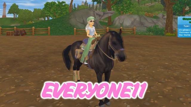 CODES: +250 STAR COINS, STAR RIDER, SET D'ÉQUIPEMENT, ... | Star Stable