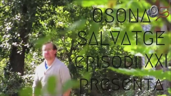 El mirador del 'vermut' | смотровая площадка с вермутом | The 'vermouth' viewpoint