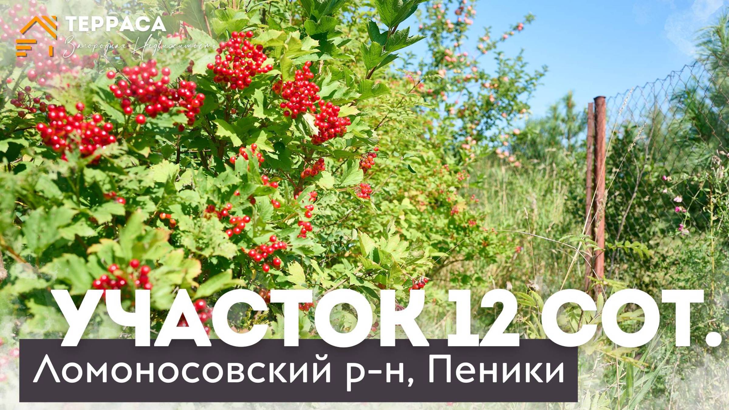 ВИДОВОЙ УЧАСТОК РЯДОМ С ФИНСКИМ ЗАЛИВОМ | Ломоносовский район| д. Пеники #купитьучасток смотреть онлайн
