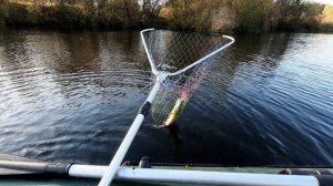 Новая лодка  Triton 310 нднд под мотором Tarpon 5 S.