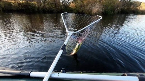 Новая лодка  Triton 310 нднд под мотором Tarpon 5 S.