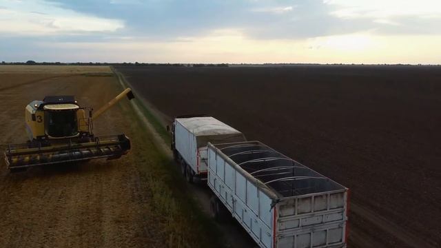 МАКСИМАЛЬНЫЙ УРОЖАЙ ГОРОХА В НЕ ПРОСТОЙ 2021. Уборка ярового гороха на багаре. смотреть онлайн