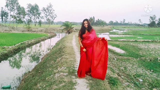 Saree Lover | Saree Expressions |Saree Fashion | Saree Sundari | Saree Vlog |