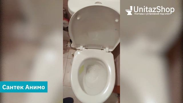 Смыв унитаза Сантек Анимо от UnitazShop смотреть онлайн