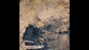 Не уходит вода из септика, заилился фильтрационный колодец и поле рассеивания