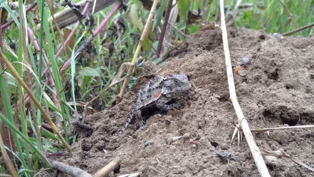 17 de noviembre de 2018 смотреть онлайн