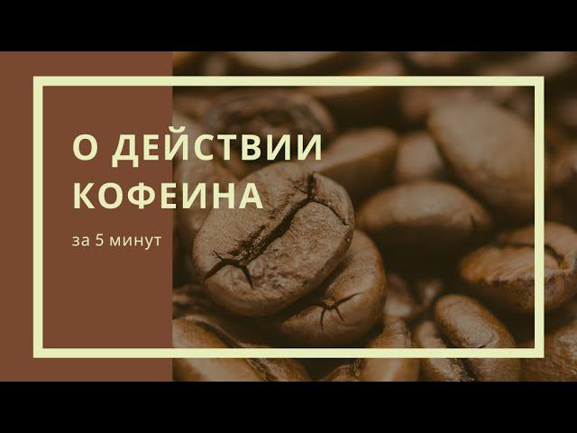 За 5 минут о действии кофеина смотреть онлайн