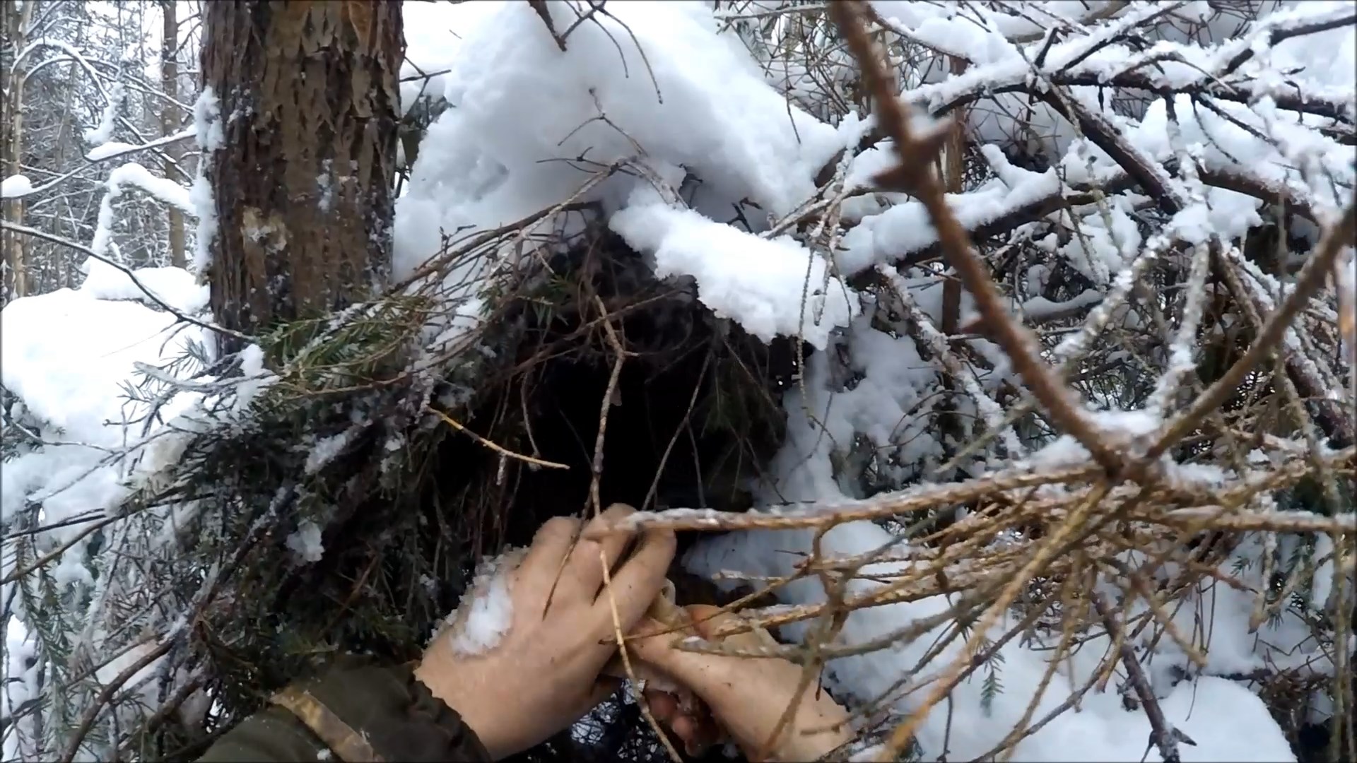 Охота на куницу. Проверка капканов (Будни охотника и рыбака) смотреть онлайн