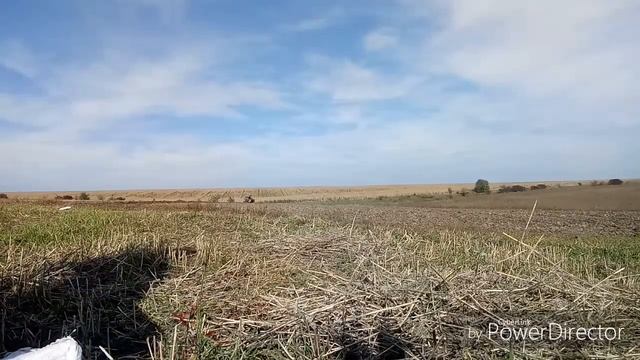 Сієм пшеницю смотреть онлайн