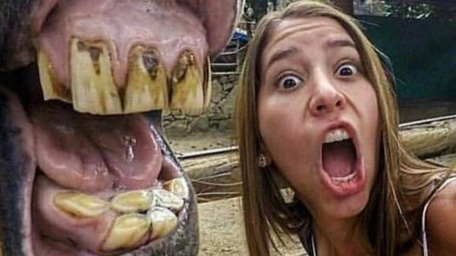 10 МИНУТ СМЕХА ! Тест на психику! Попробуй не засмеяться смотреть онлайн