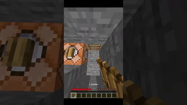 Minecraft 1.21 Ladder Crafter Clutch, Minecraft Live 2023 New Item Clutch #shorts смотреть онлайн