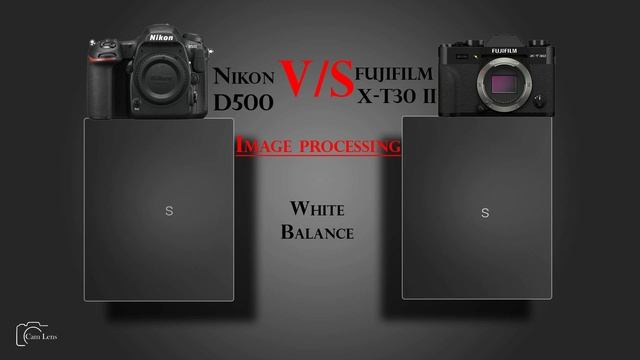 Nikon D500 vs FUJIFILM X T30 II смотреть онлайн
