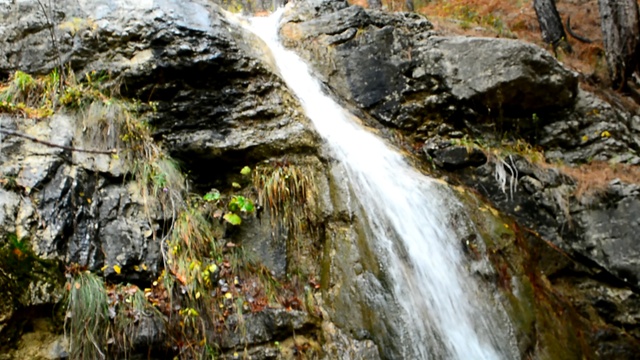 DSC_4406 смотреть онлайн