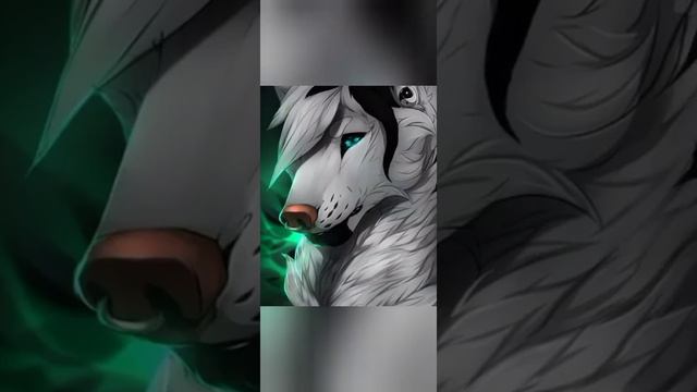 //какой ты аниме волк по имени? // смотреть онлайн