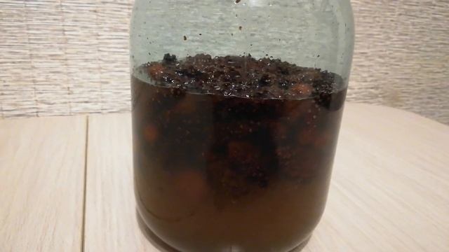 ЛУЧШЕЕ СРЕДСТВО ОТ ПРОСТУДЫ. СИРОП ИЗ МОЛОДЫХ СОСНОВЫХ ШИШЕК. РЕЦЕПТ ЛЕСНИКА ИЗ СИБИРИ смотреть онлайн